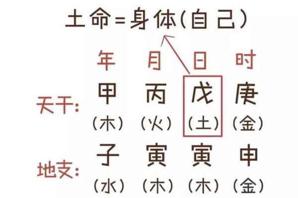 93年是什么命,木命配吗?探析命理与婚配的巧妙联系! 93年是什么命,木命配吗?探析命理与婚配的巧妙联系!