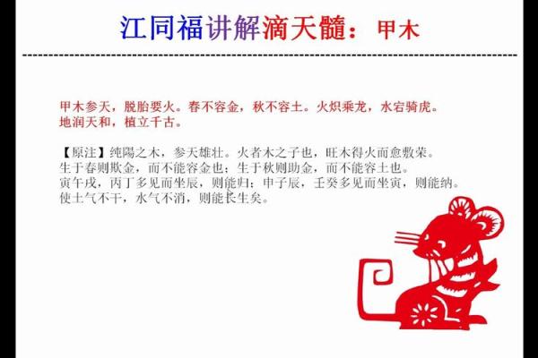 女人甲木命理解析:探索生命中的独特魅力与能量 女人甲木命理解析:探索生命中的独特魅力与能量