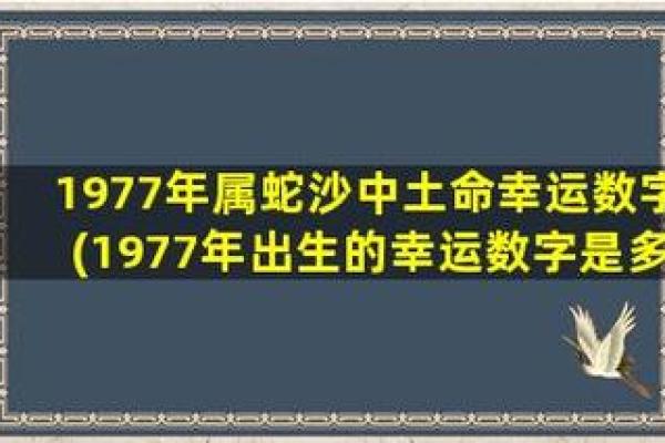 沙中土命的特点与能量提升之道:缺什么、补什么? 沙中土命的特点与能量提升之道:缺什么、补什么?