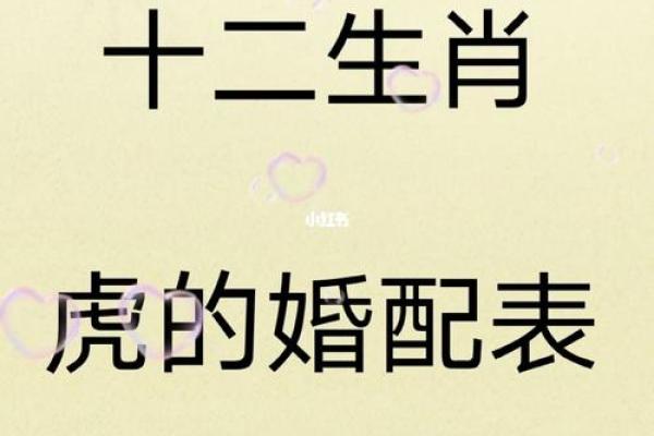 戊戌年命理深解析,剖析命缺与运势转机之道! 戊戌年命理深解析,剖析命缺与运势转机之道!