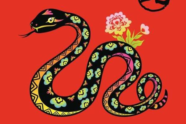 1967年水命人的运势分析与生活智慧 1967年水命人的运势分析与生活智慧