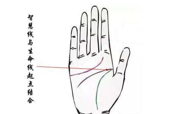 1967年水命人的运势分析与生活智慧 1967年水命人的运势分析与生活智慧