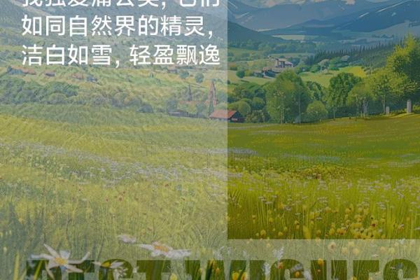 蒲公英的命:生命的坚韧与自由的象征 蒲公英的命:生命的坚韧与自由的象征