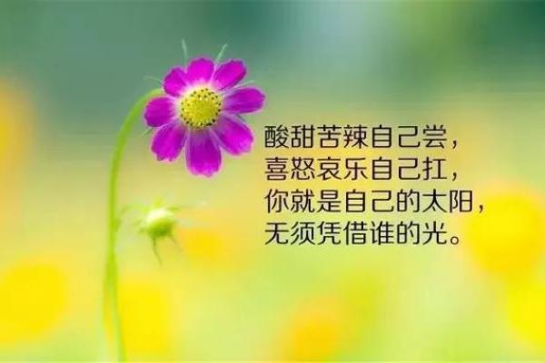 2008年属鼠的命运与人生旅程:千变万化中的机遇与挑战 2008年属鼠的命运与人生旅程:千变万化中的机遇与挑战