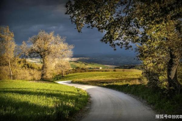 根据木命特性选择最佳生意,助你事业腾飞! 根据木命特性选择最佳生意,助你事业腾飞!
