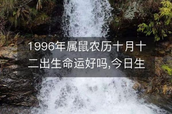 1996年出生的女性命运解析:与生肖鼠共舞的一生 1996年出生的女性命运解析:与生肖鼠共舞的一生