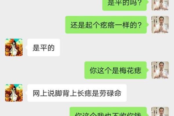 五命伊鹤六命解析:命运与自我修行的智慧之路 五命伊鹤六命解析:命运与自我修行的智慧之路