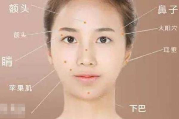 如何通过面相分析贪财命的女性特征 如何通过面相分析贪财命的女性特征