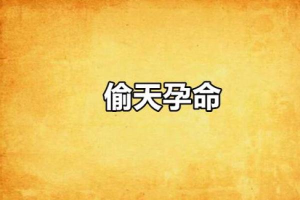 女子在粗脚下的命运:探寻生活的多元可能性 女子在粗脚下的命运:探寻生活的多元可能性