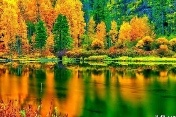 命厚人生的真谛:探索命与运的深层联结 命厚人生的真谛:探索命与运的深层联结