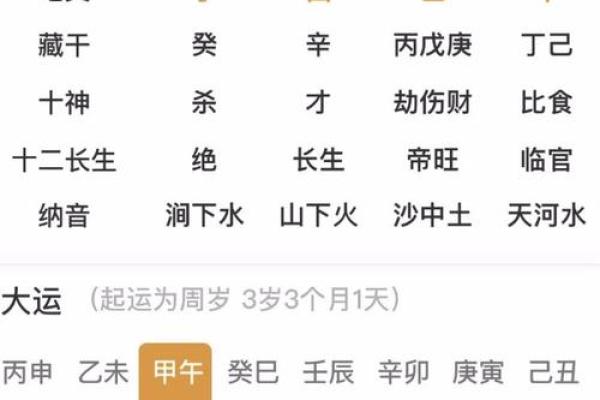 癸巳命局:八字解析与人生运势的深刻洞悉 癸巳命局:八字解析与人生运势的深刻洞悉