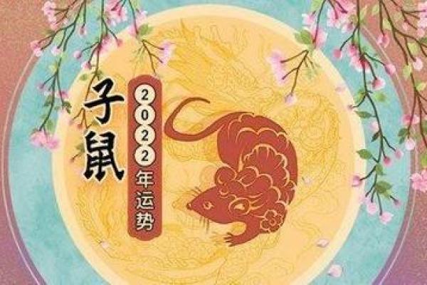 2011兔年宝宝命理解析:如何提升他们的运势与福气 2011兔年宝宝命理解析:如何提升他们的运势与福气