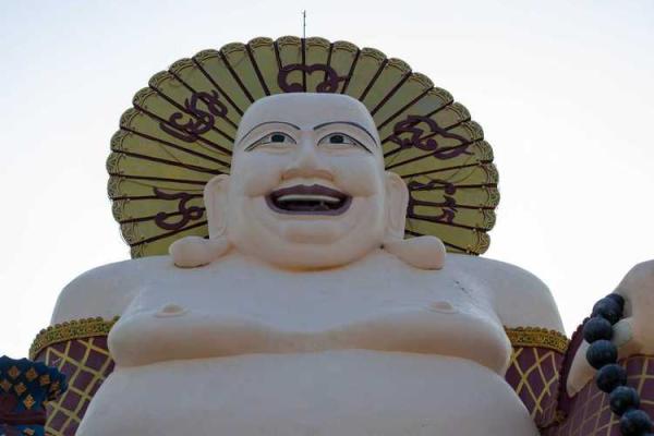 童子命的秘密:探索命运背后的神秘任务与使命感 童子命的秘密:探索命运背后的神秘任务与使命感