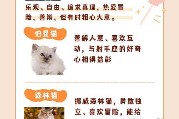 射手座命理分析:探寻射手座的星座缺失与平衡之道 射手座命理分析:探寻射手座的星座缺失与平衡之道