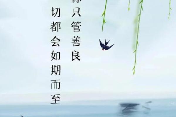 中等偏上的命:揭开命运中的财富与福气之谜 中等偏上的命:揭开命运中的财富与福气之谜