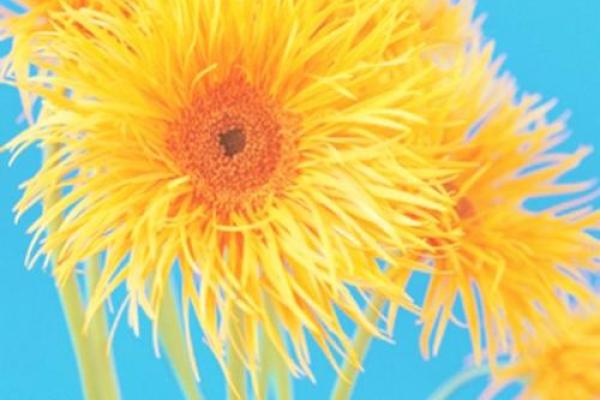 水命人士的颜色搭配:哪些颜色不吉利? 水命人士的颜色搭配:哪些颜色不吉利?