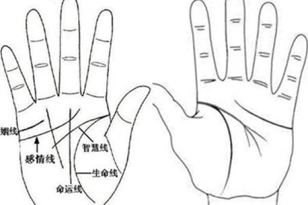 水命属猪的幸运数字与生活运势的秘密探讨 水命属猪的幸运数字与生活运势的秘密探讨