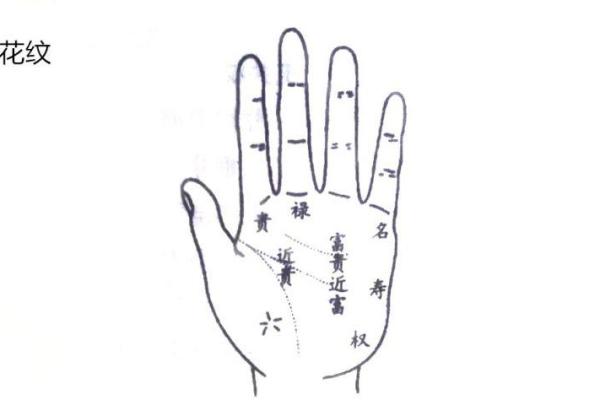 水命属猪的幸运数字与生活运势的秘密探讨 水命属猪的幸运数字与生活运势的秘密探讨