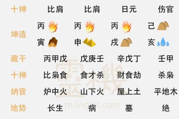 2011年虎年的命理解析:这一年出生的人的性格与运势 2011年虎年的命理解析:这一年出生的人的性格与运势