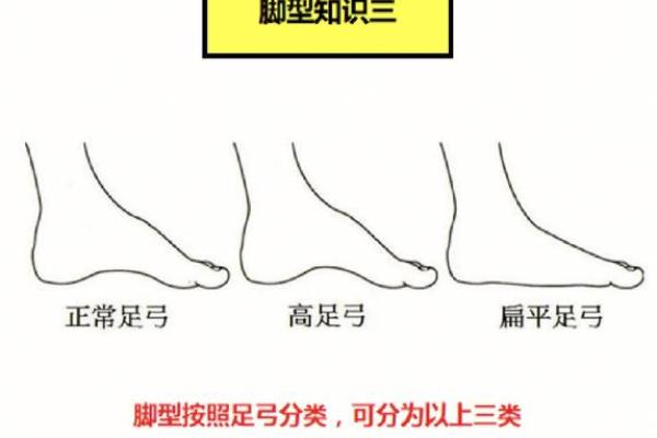 测你什么脚型命最准,揭示脚型与性格的秘密! 测你什么脚型命最准,揭示脚型与性格的秘密!
