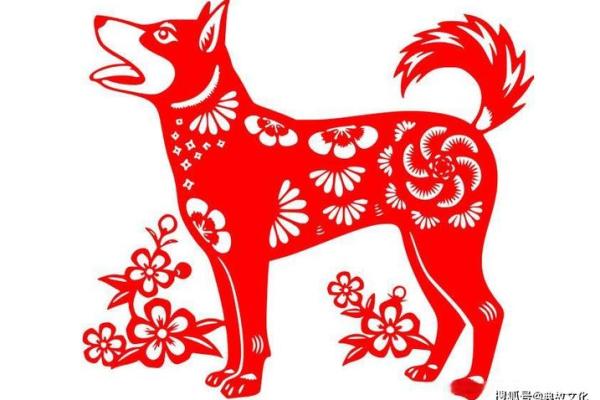 属狗人命运解析:忠诚与运势的完美交织 属狗人命运解析:忠诚与运势的完美交织