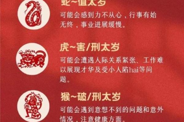 2023年虎年:揭示八字命理中的虎年命运与巧妙应对策略 2023年虎年:揭示八字命理中的虎年命运与巧妙应对策略