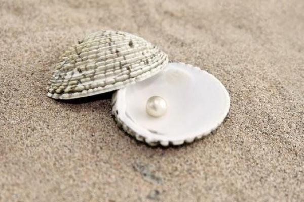 海中金——命理合婚的神秘之旅 海中金——命理合婚的神秘之旅