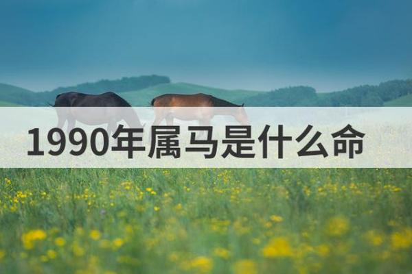 揭示2002年属马的命格与运势,解密人生轨迹! 揭示2002年属马的命格与运势,解密人生轨迹!