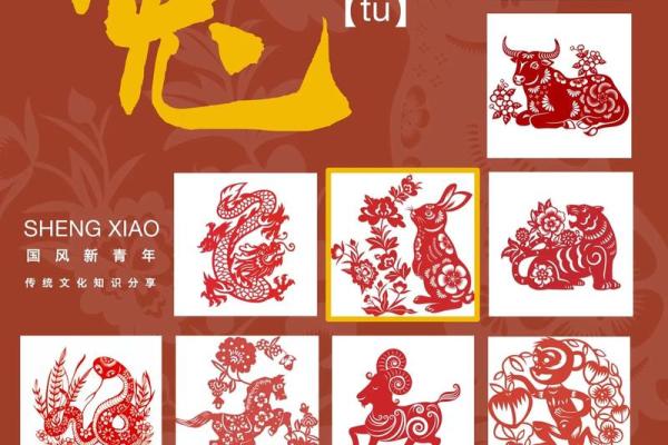 2011年兔年运势解析:兔命人的性格与生活启示 2011年兔年运势解析:兔命人的性格与生活启示