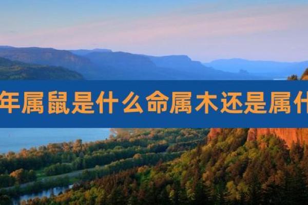 木鼠之命解析:为什么木鼠属于木命?探寻命理中的奥秘 木鼠之命解析:为什么木鼠属于木命?探寻命理中的奥秘