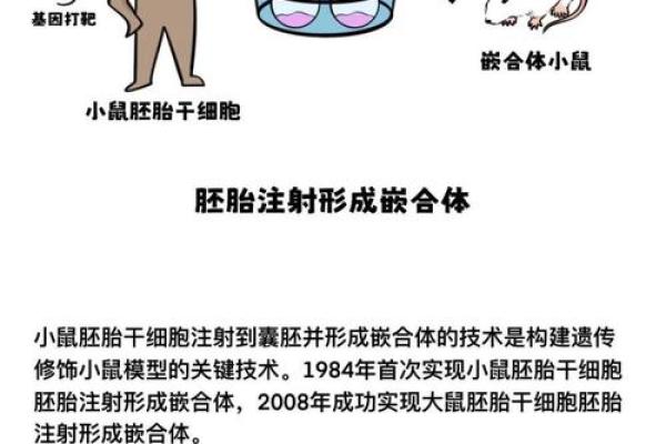 1968年猴子命:探索这一年所诞生的人的命运与个性 1968年猴子命:探索这一年所诞生的人的命运与个性