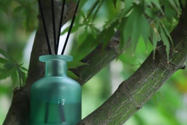 丁香命:寻找生命中的花香与希望的旅程 丁香命:寻找生命中的花香与希望的旅程