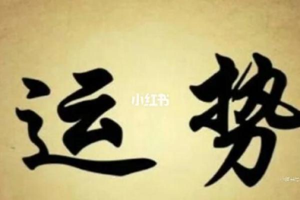 比肩坐正印:探秘命理中的幸福与成功之道 比肩坐正印:探秘命理中的幸福与成功之道