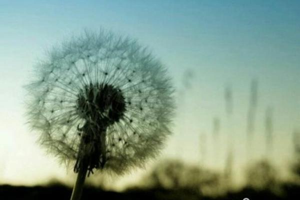 四两二命的男人:生活中的智慧与挑战 四两二命的男人:生活中的智慧与挑战