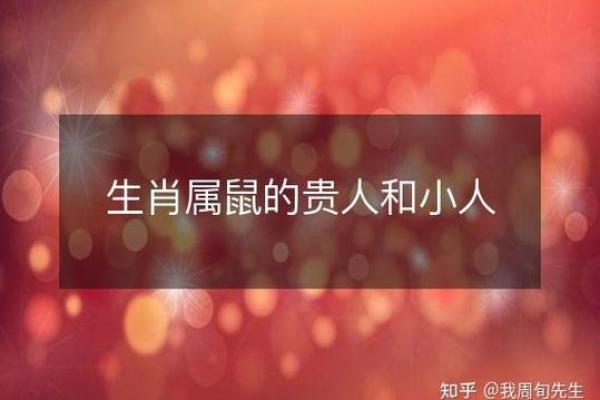 2008年属鼠,命运解析:机智灵动的生肖之旅 2008年属鼠,命运解析:机智灵动的生肖之旅