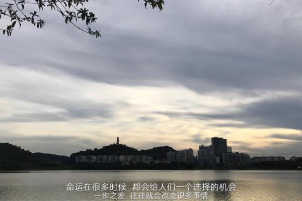 丙戌年出生的你,命运的秘密与人生的指引 丙戌年出生的你,命运的秘密与人生的指引