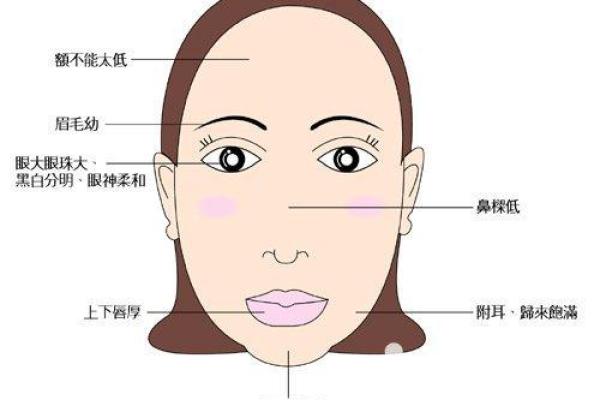 根据鼻子向外翻女人的命运解析:你知道吗? 根据鼻子向外翻女人的命运解析:你知道吗?