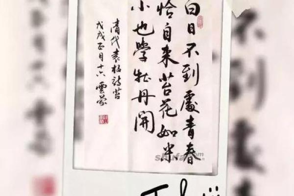 23画代表的命运象征:解读数字背后的深意与人生态度 23画代表的命运象征:解读数字背后的深意与人生态度