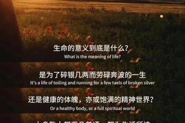 发命:探索人生的意义与目标,启迪内心的旅程 发命:探索人生的意义与目标,启迪内心的旅程