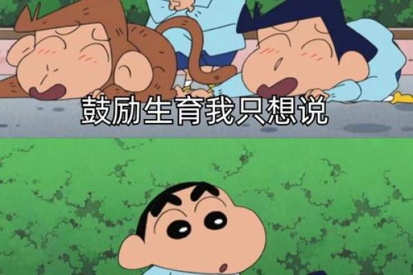 父母的选择如何影响孩子的命运与未来发展 父母的选择如何影响孩子的命运与未来发展