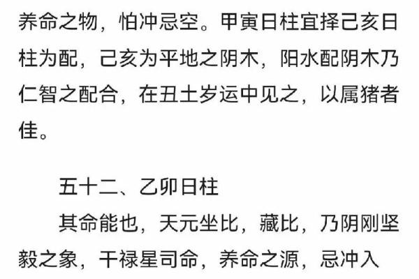 探索命理:癸未、壬戌、乙卯、壬午的命格分析与生活指导 探索命理:癸未、壬戌、乙卯、壬午的命格分析与生活指导