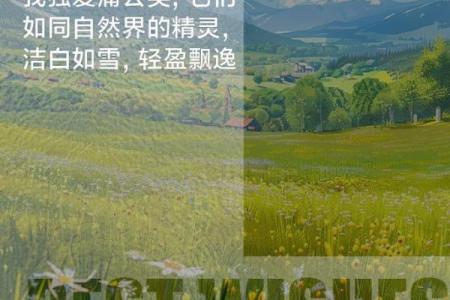 蒲公英的命：生命的坚韧与自由的象征