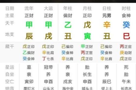 癸巳命局：八字解析与人生运势的深刻洞悉