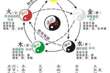 五行平衡命格：生活中的智慧与和谐之道