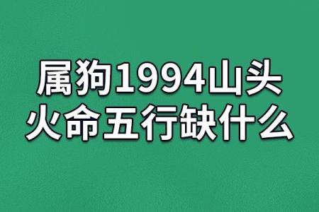 2015砂石金命：缺什么？解析五行与命运的奥秘