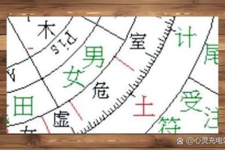 木命年如何影响你的生活和运势？探秘命理与情感的秘密