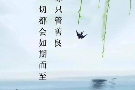 中等偏上的命：揭开命运中的财富与福气之谜