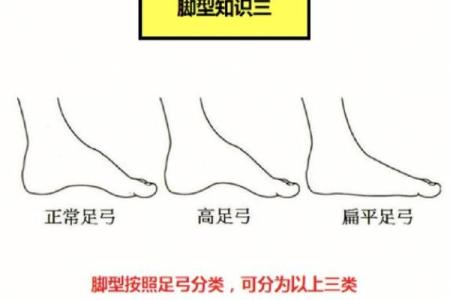 测你什么脚型命最准，揭示脚型与性格的秘密！