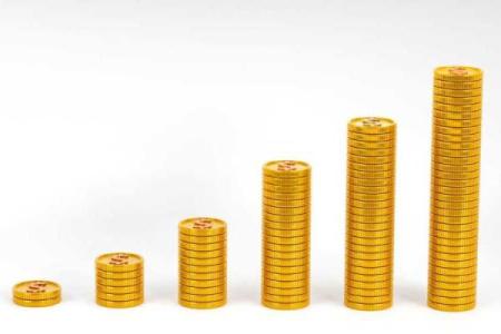 69年冬月属鸡命运解析：揭秘鸡年人的独特人生之路