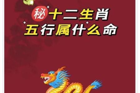 木鼠之命解析：为什么木鼠属于木命？探寻命理中的奥秘